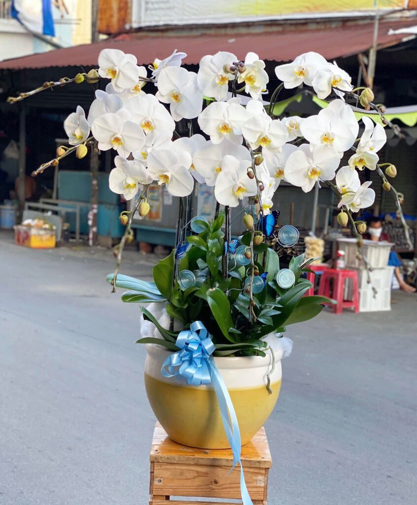 Tìm hiểu thêm về shop hoa tươi Huyện Thanh Trì