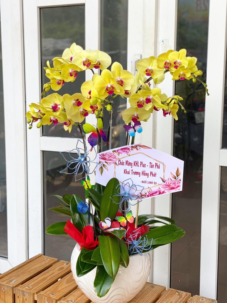 Đặt hoa tươi trực tuyến với shop hoa Quận Ninh Kiều 