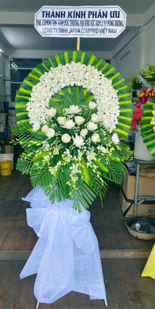 Đẹp Tinh Khôi Và Thú Vị
