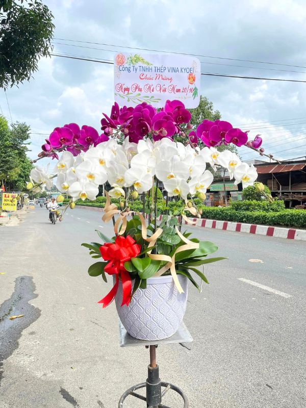 Cam kết mang đến sự hài lòng tuyệt đối