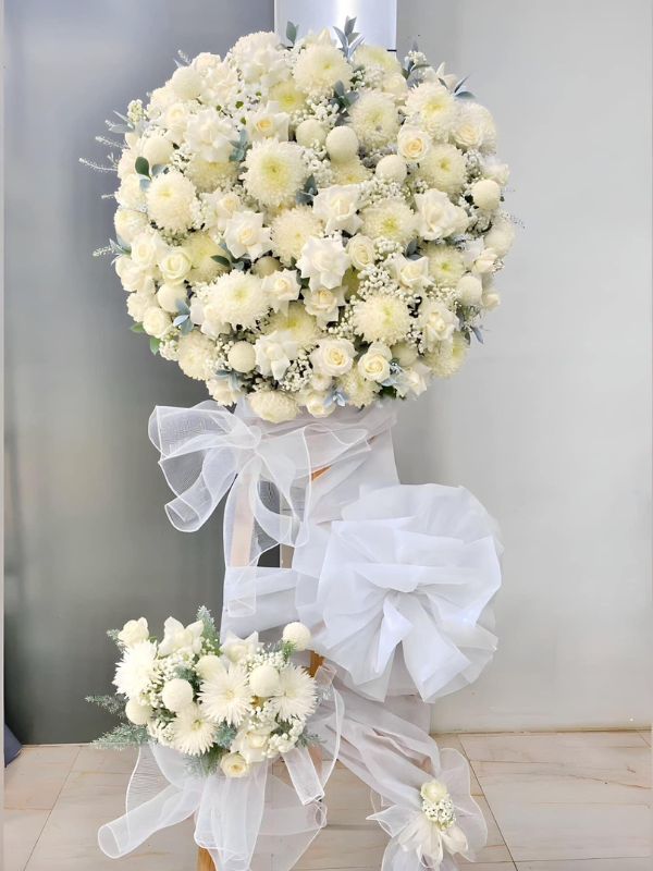 Dịch vụ chuyên nghiệp và giao hàng miễn phí
