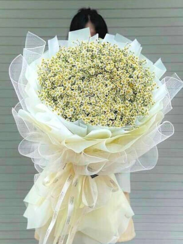 Lựa Chọn Hoa Tươi Hoàn Hảo Cho Mọi Dịp